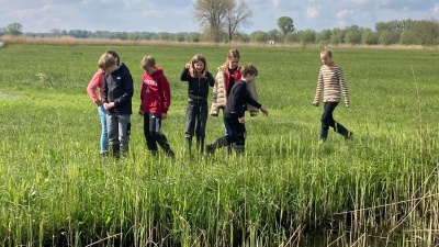 Zwartewaterlandinzicht.nl